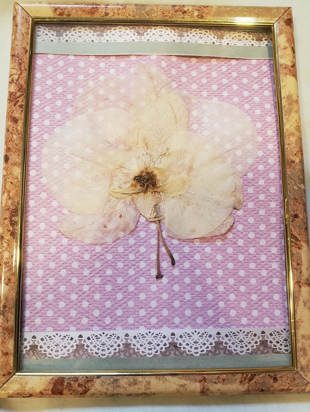 Beautiful Handmade Dried Plant / Flower Art / Wall Decor In Frame With Glass - Picture 2 of 4